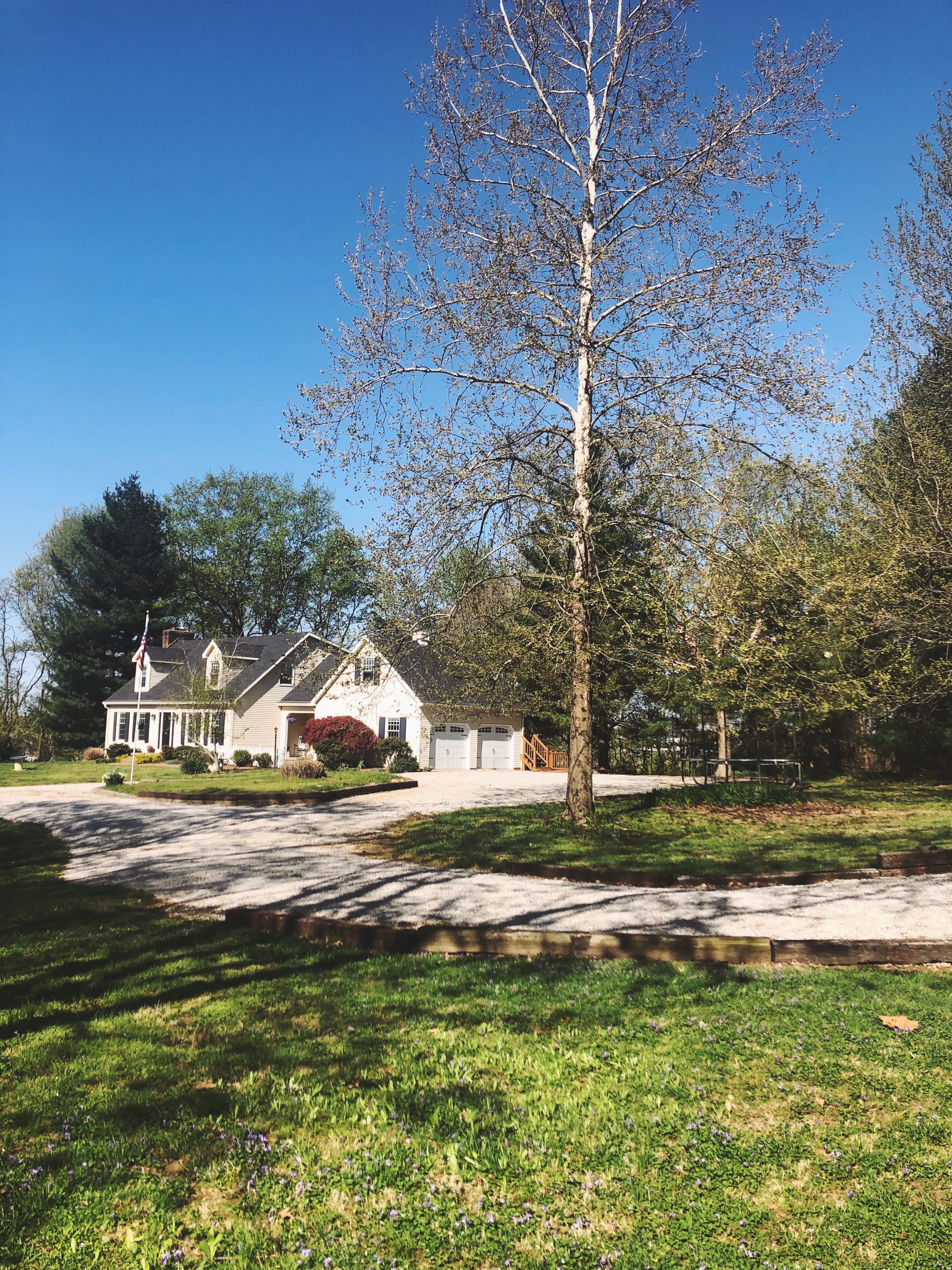 Processed with VSCO with f3 preset